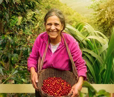 sustainability sourcing